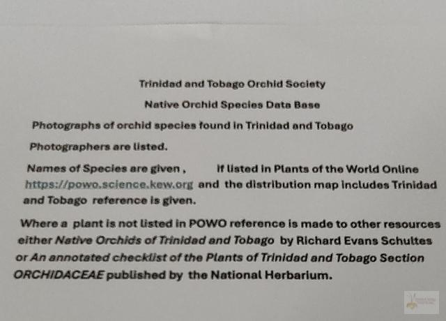 AAA introduction .jpeg