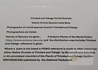 AAA introduction .jpeg